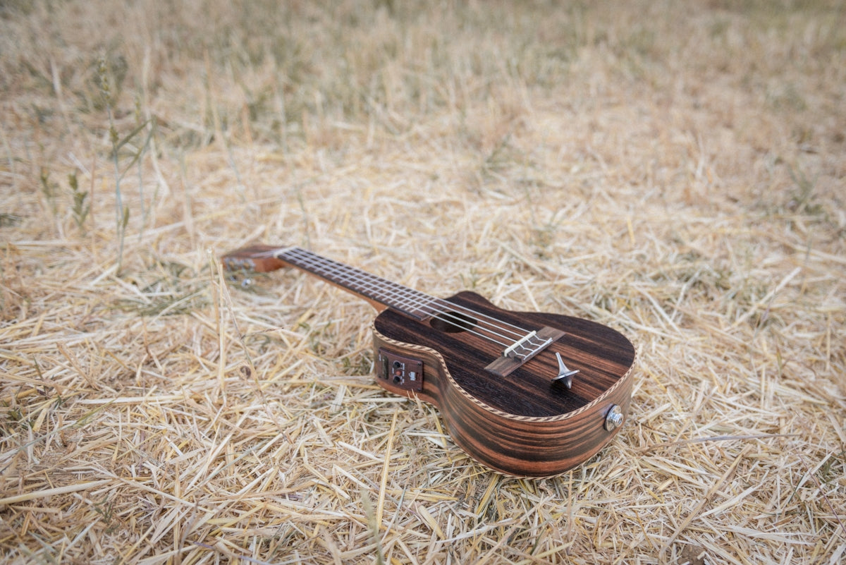 A small ukulele rests on dry grass