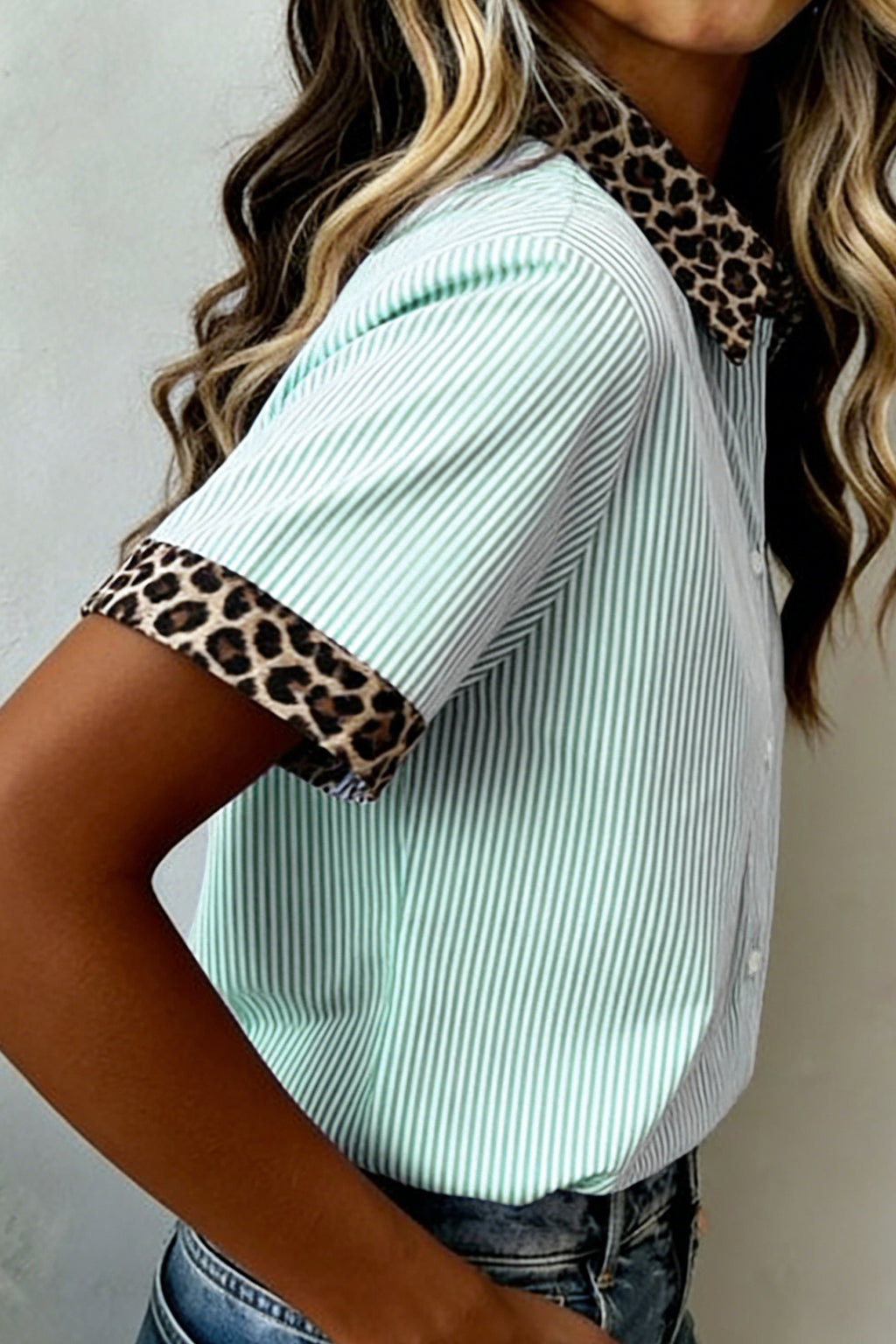 Stripe Leopard Contrast Collar Sleeve