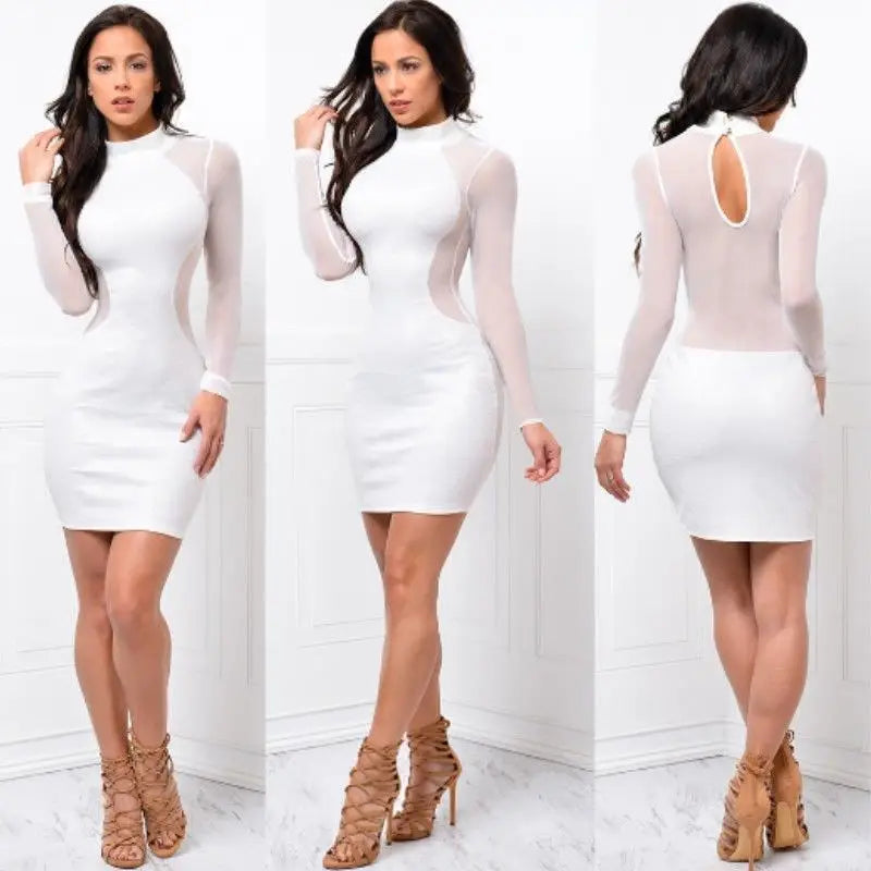 London Casual Long Sleeve O Neck Backless Sexy Lace See Though Mini Dress