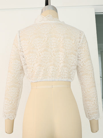 Women Regular Base Lace Stitching blouse