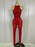 Scranton Sparkly Black Diamond Mesh See THhrough Jumpsuit