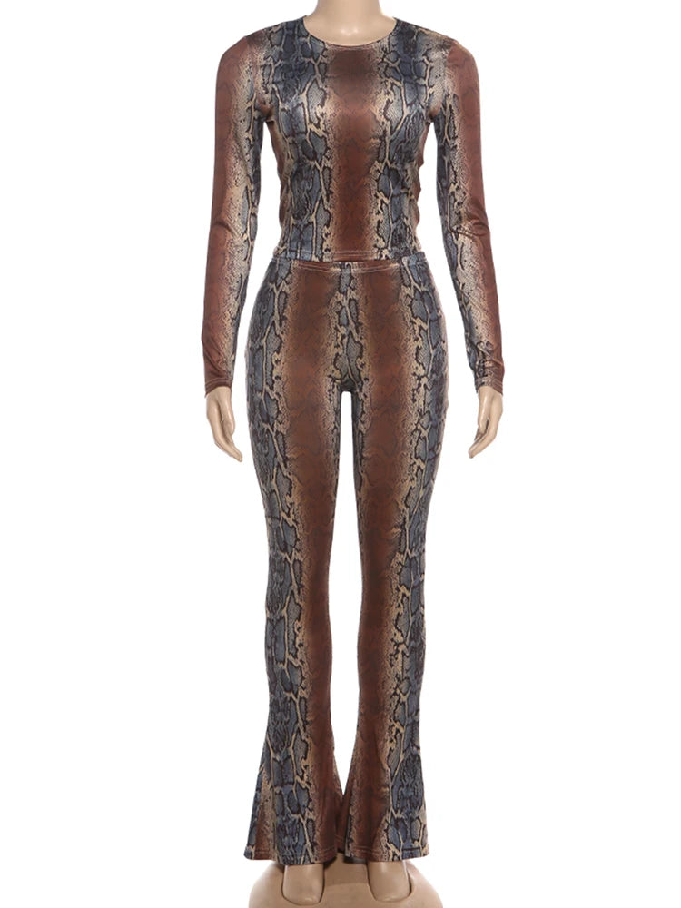 Kemptville Snake Colorful Print Tracksuit Tight Crop Stretch Streetwear Matching Set