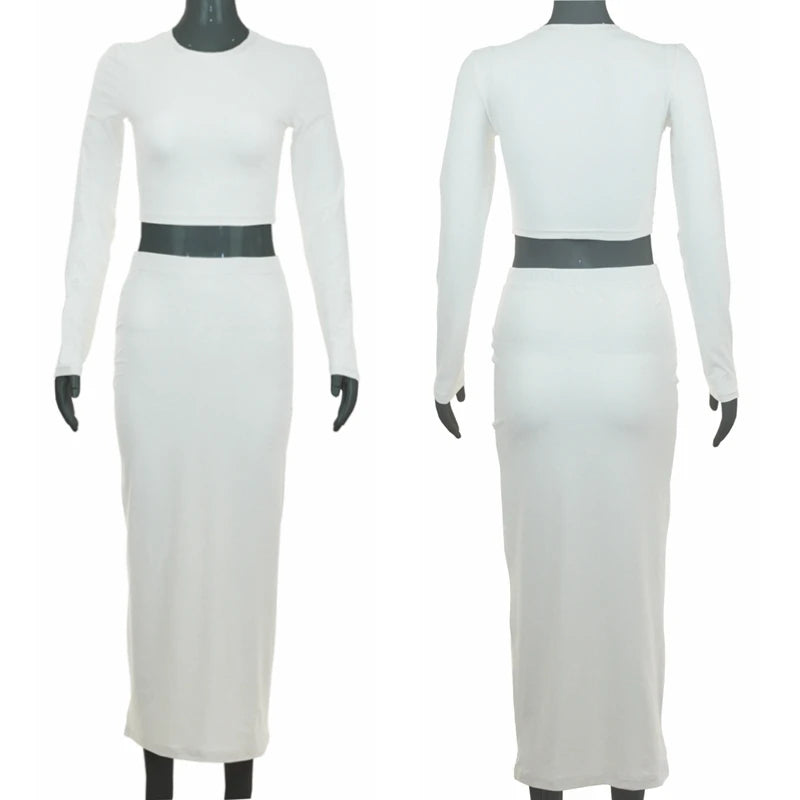 Winifer Long Sleeve Slim Office Lady Two Piece Sets