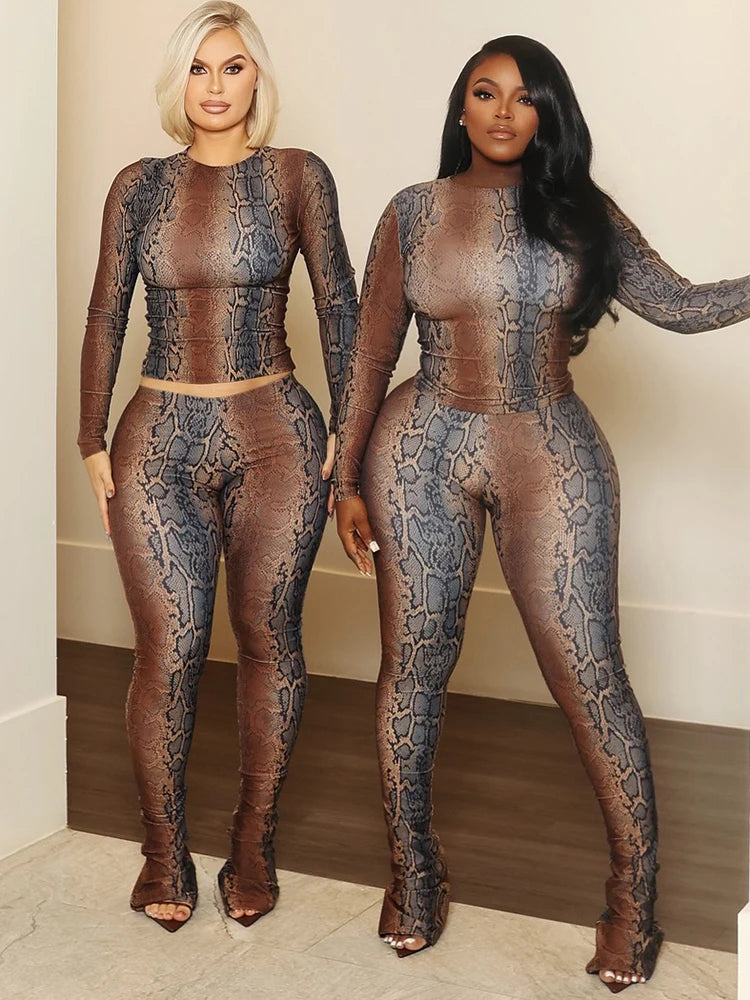 Kemptville Snake Colorful Print Tracksuit Tight Crop Stretch Streetwear Matching Set