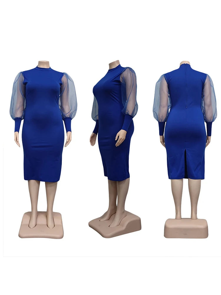 Newton Plus Size Solid Color Spring Mesh Lantern Long Sleeve Dress