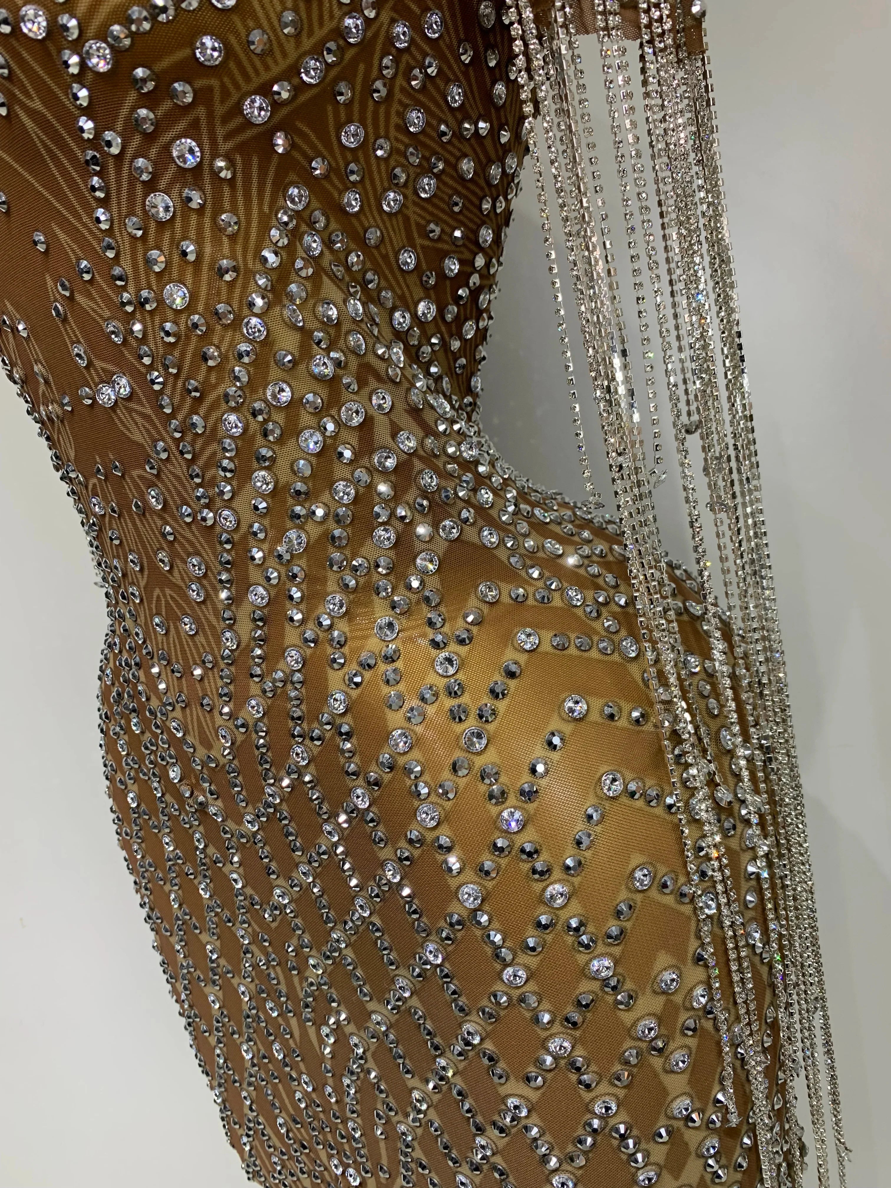 Bedford Luxury Sparkly Rhinestones Tassel Transparent Mesh Stretch Long Dress