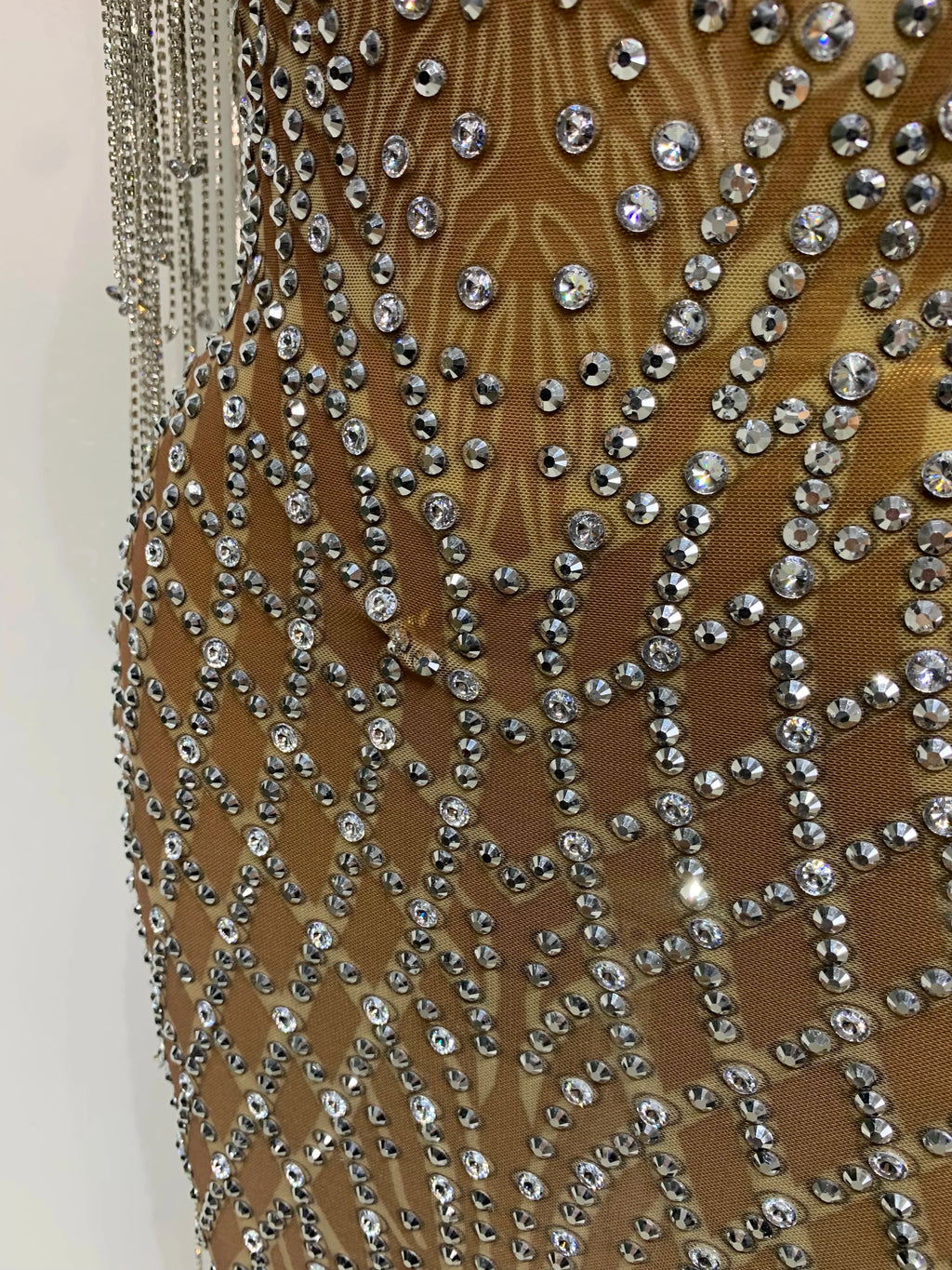 Bedford Luxury Sparkly Rhinestones Tassel Transparent Mesh Stretch Long Dress