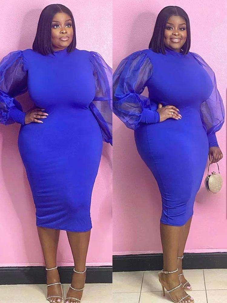 Newton Plus Size Solid Color Spring Mesh Lantern Long Sleeve Dress