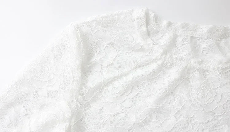 Hyde Park Lace Sheer Bodycon Sexy Club Solid Hip Wrap Skinny Dress