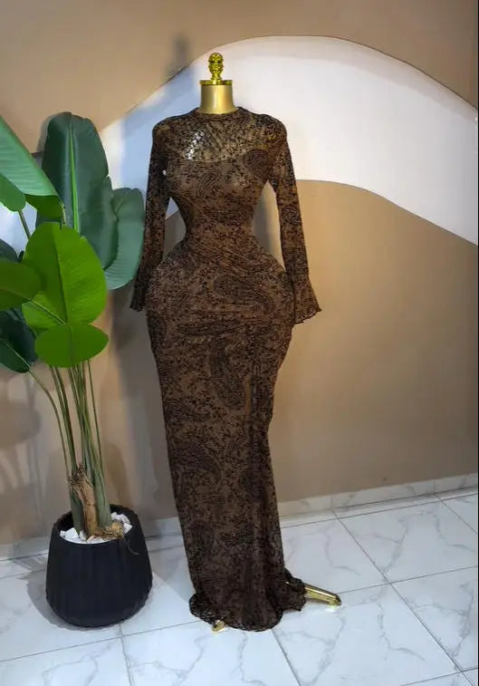 Peru Long Sleeve Stacked Mesh See Though with Lining Bodycon Long Dress