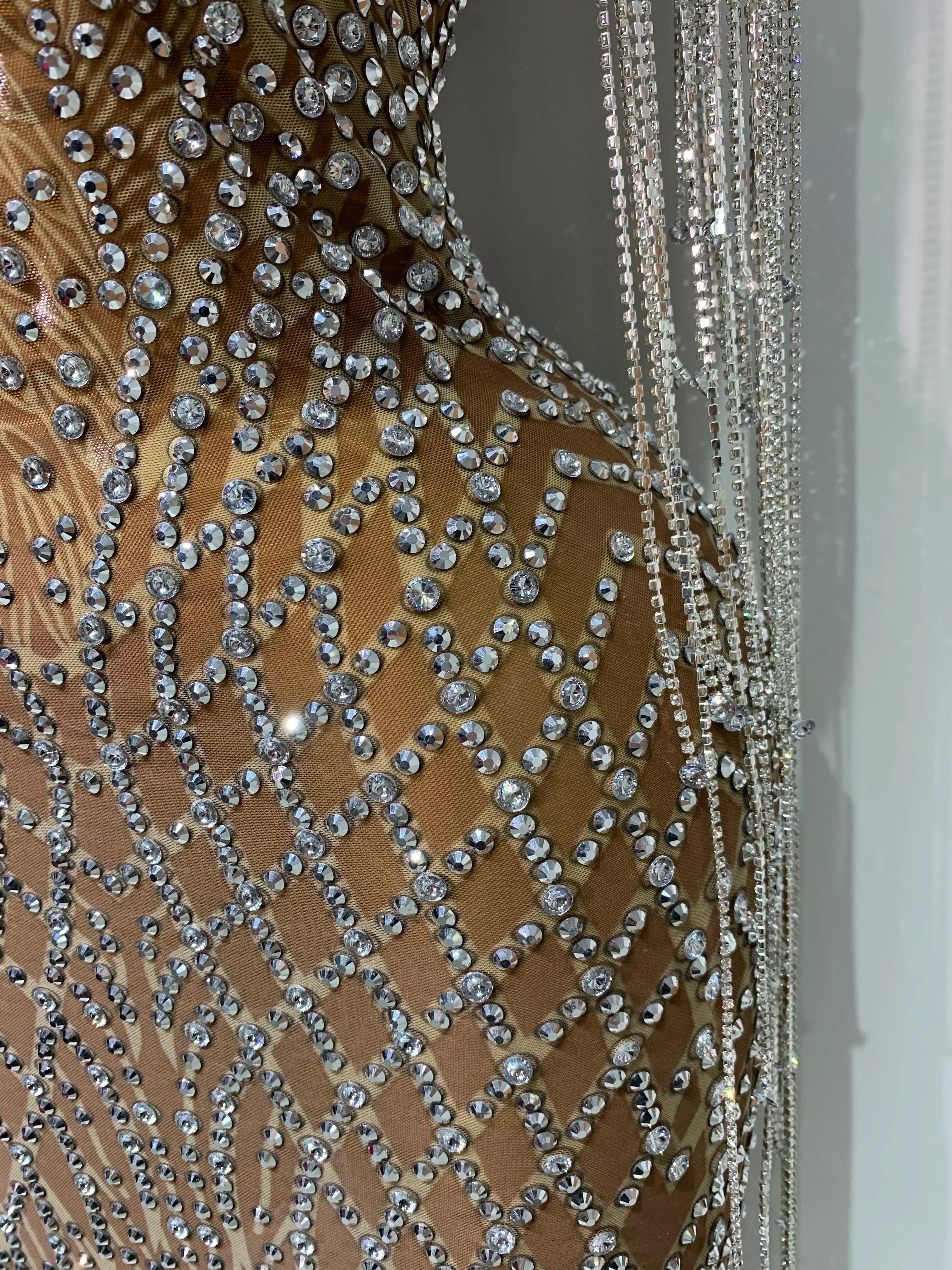 Bedford Luxury Sparkly Rhinestones Tassel Transparent Mesh Stretch Long Dress