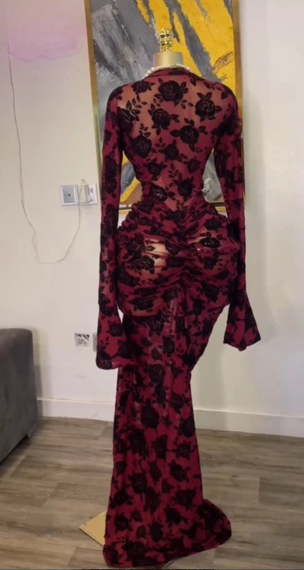 Peru Long Sleeve Stacked Mesh See Though with Lining Bodycon Long Dress