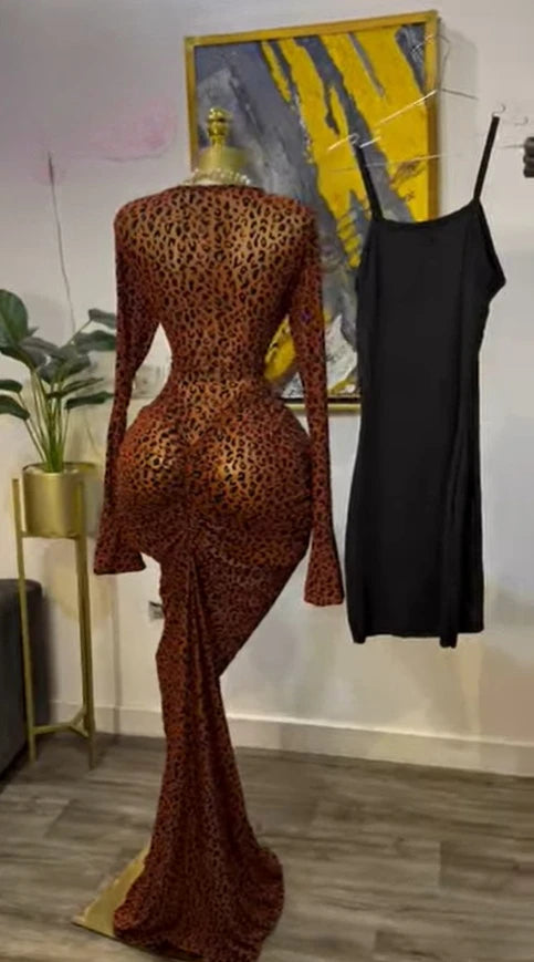 Peru Long Sleeve Stacked Mesh See Though with Lining Bodycon Long Dress