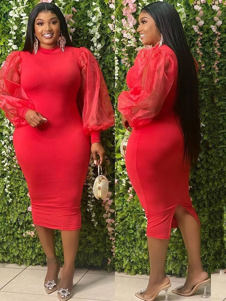 Newton Plus Size Solid Color Spring Mesh Lantern Long Sleeve Dress