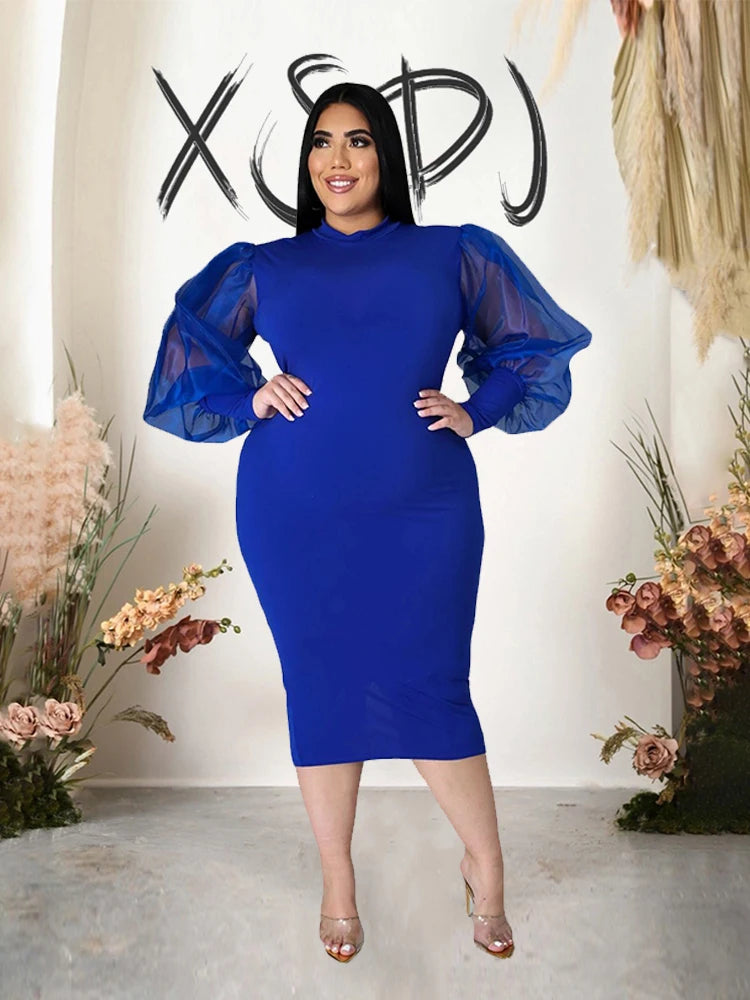 Newton Plus Size Solid Color Spring Mesh Lantern Long Sleeve Dress