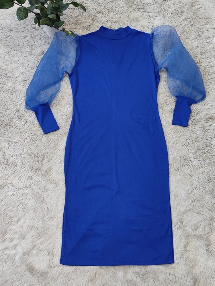 Newton Plus Size Solid Color Spring Mesh Lantern Long Sleeve Dress
