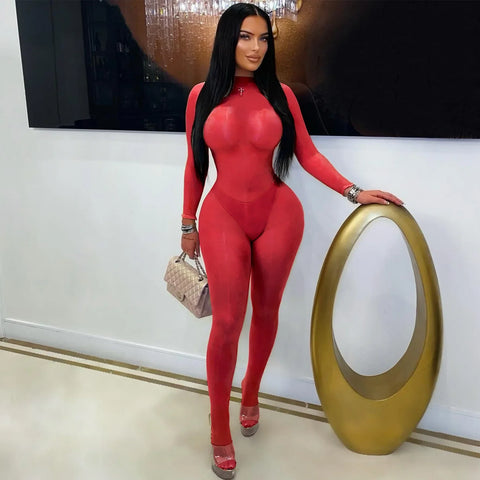 Carlisle See Through Silky Glossy High Stretchy Seamless Skinny Jumpsuit