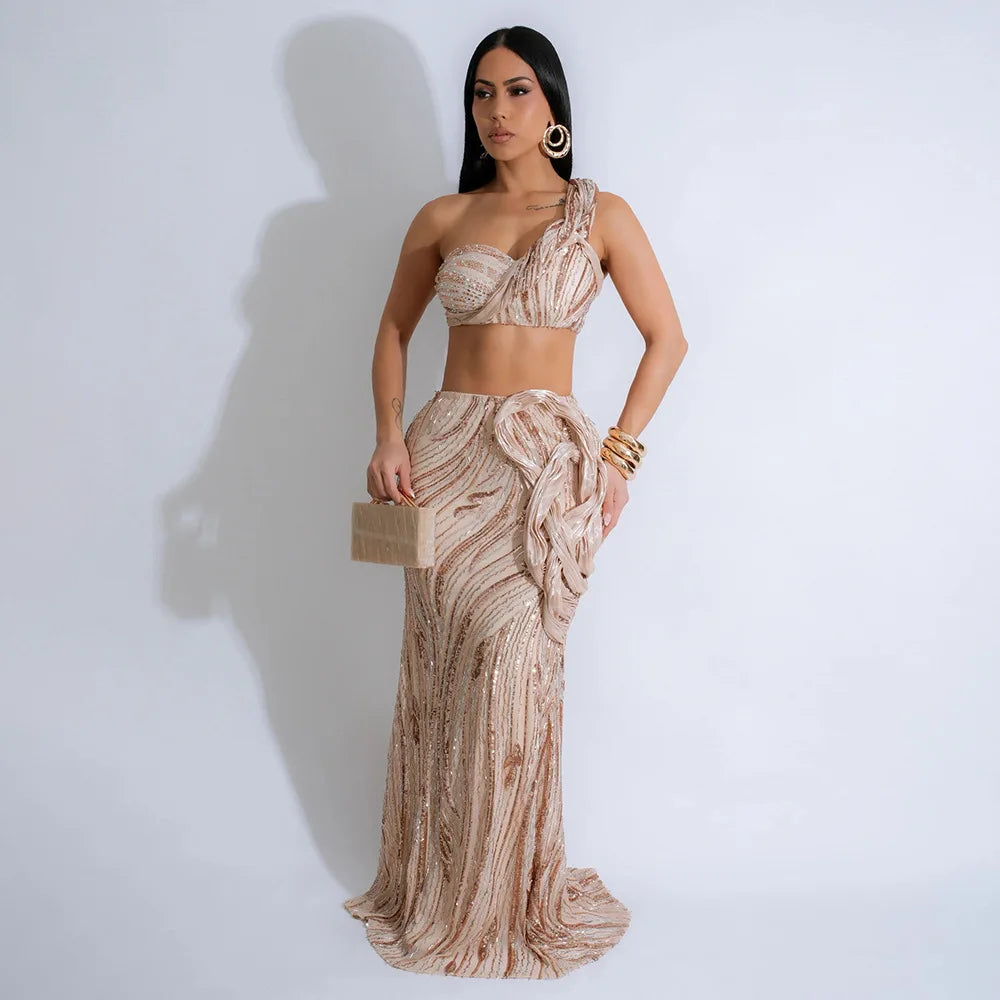 Ambar Elegant Embellished Sequin Two Piece Sets