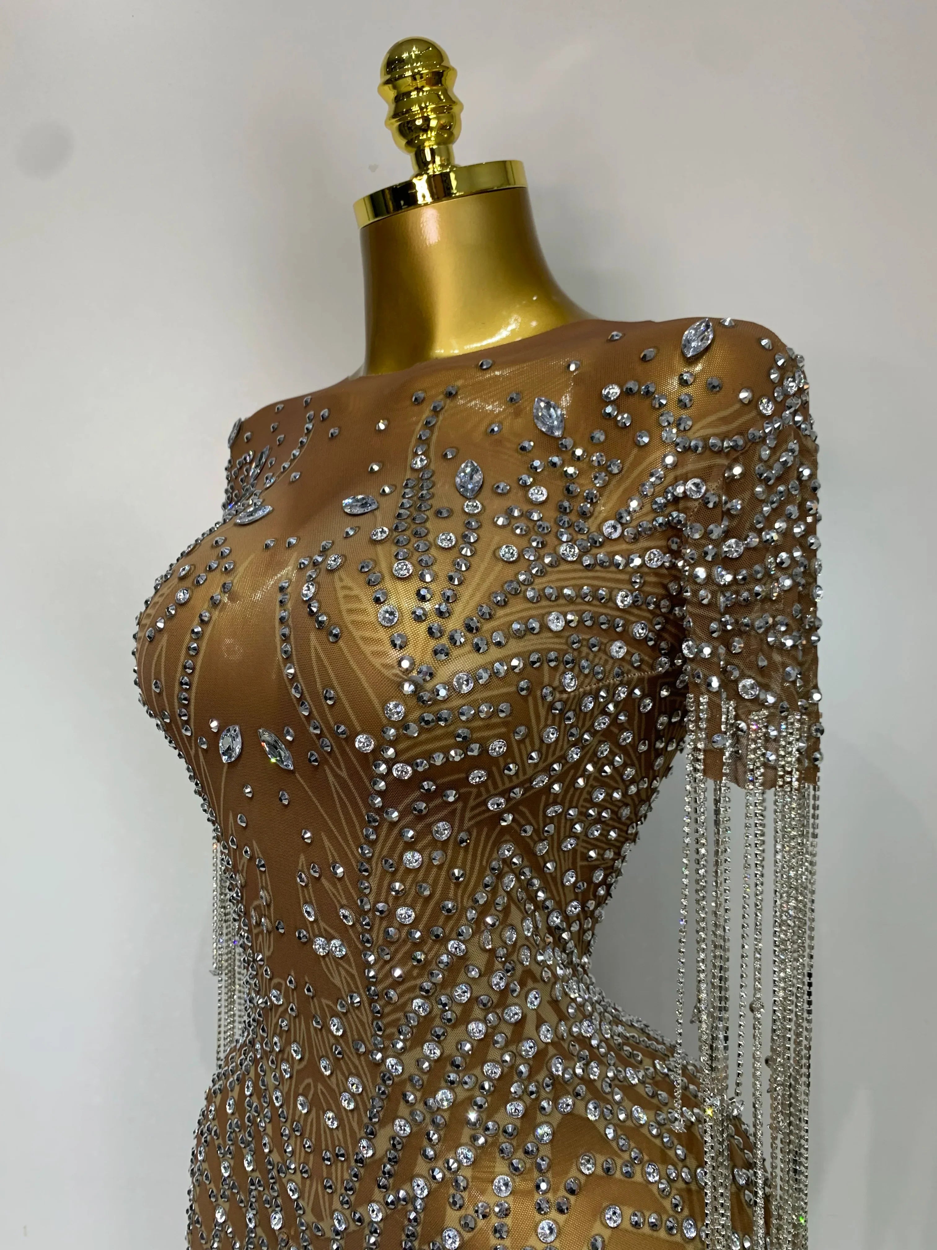 Bedford Luxury Sparkly Rhinestones Tassel Transparent Mesh Stretch Long Dress