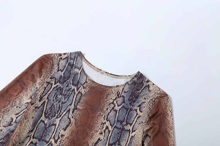 Kemptville Snake Colorful Print Tracksuit Tight Crop Stretch Streetwear Matching Set