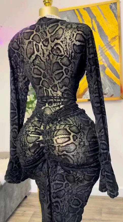 Peru Long Sleeve Stacked Mesh See Though with Lining Bodycon Long Dress