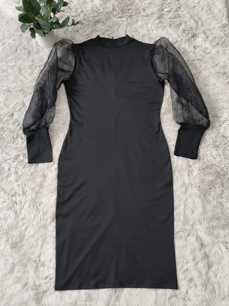 Newton Plus Size Solid Color Spring Mesh Lantern Long Sleeve Dress