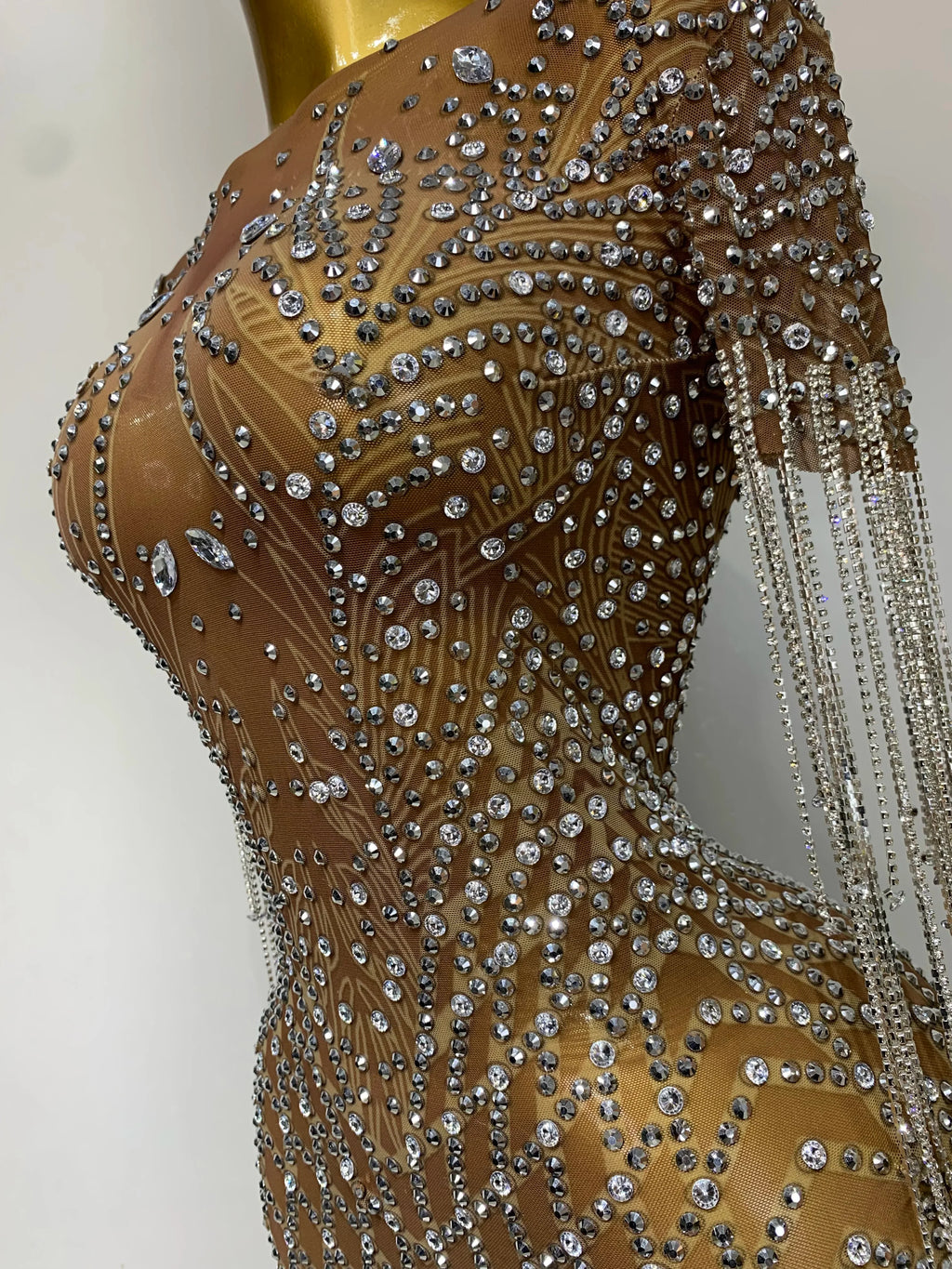 Bedford Luxury Sparkly Rhinestones Tassel Transparent Mesh Stretch Long Dress