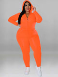 Arianna Plus Size Outfit Stretchy Two Piece Sets