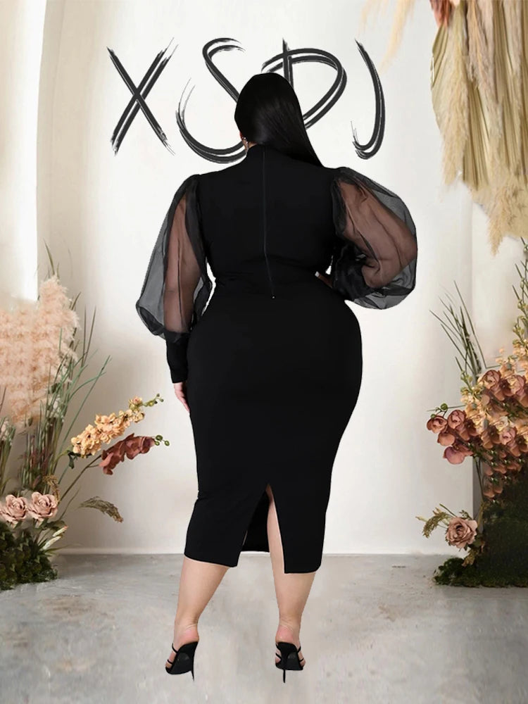 Newton Plus Size Solid Color Spring Mesh Lantern Long Sleeve Dress