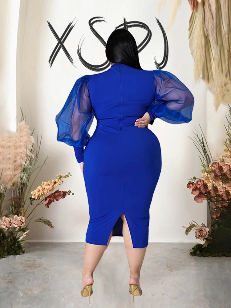 Newton Plus Size Solid Color Spring Mesh Lantern Long Sleeve Dress