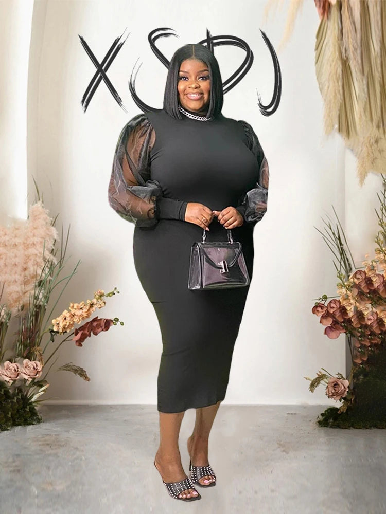 Newton Plus Size Solid Color Spring Mesh Lantern Long Sleeve Dress