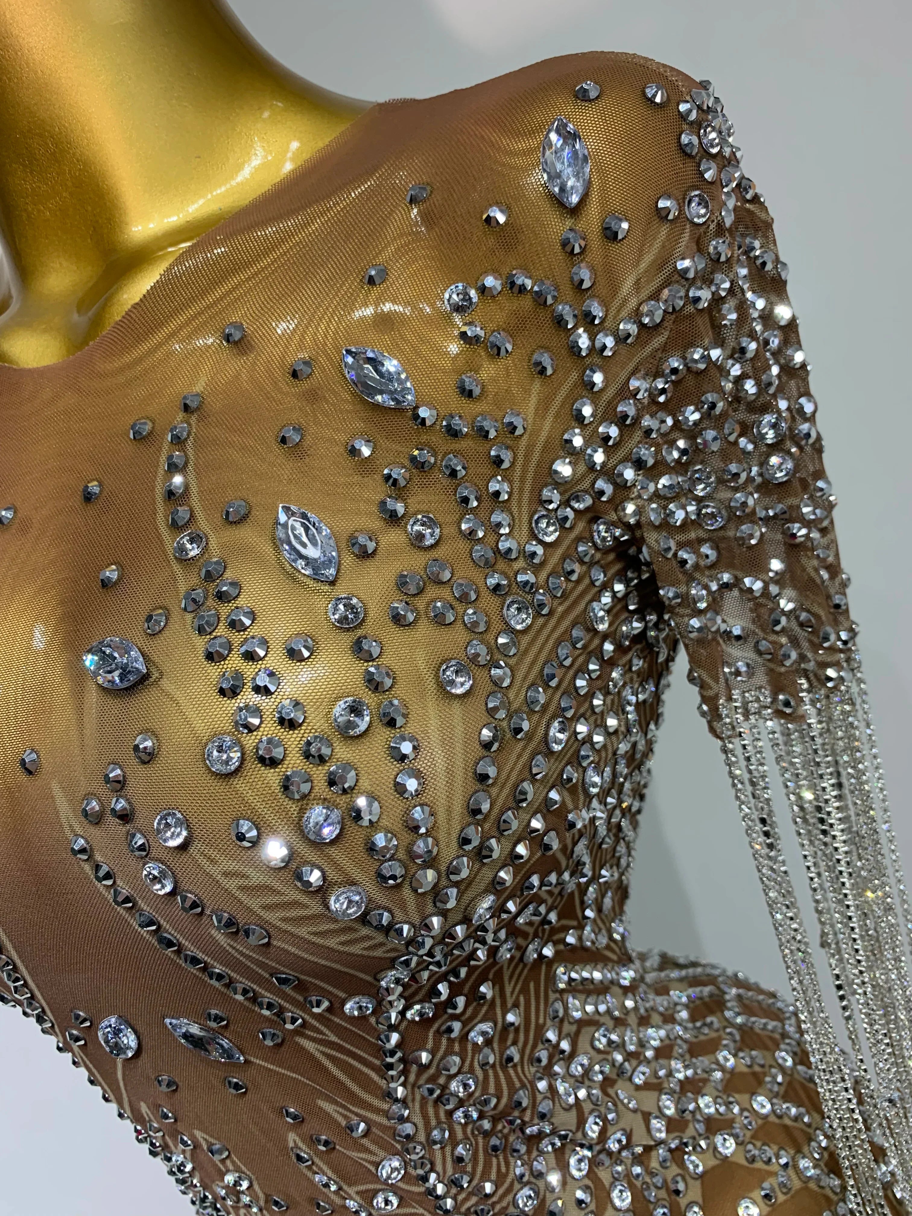 Bedford Luxury Sparkly Rhinestones Tassel Transparent Mesh Stretch Long Dress