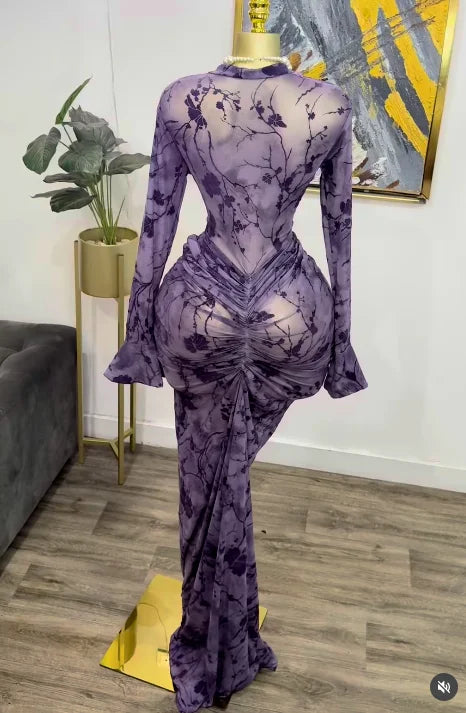 Peru Long Sleeve Stacked Mesh See Though with Lining Bodycon Long Dress