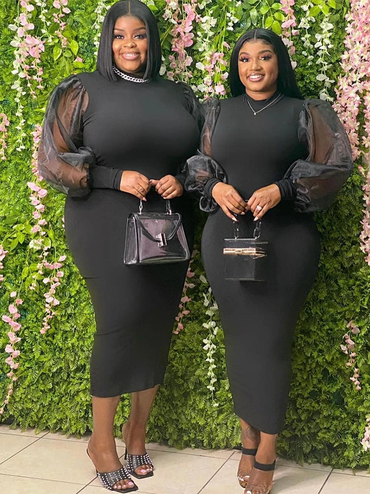 Newton Plus Size Solid Color Spring Mesh Lantern Long Sleeve Dress