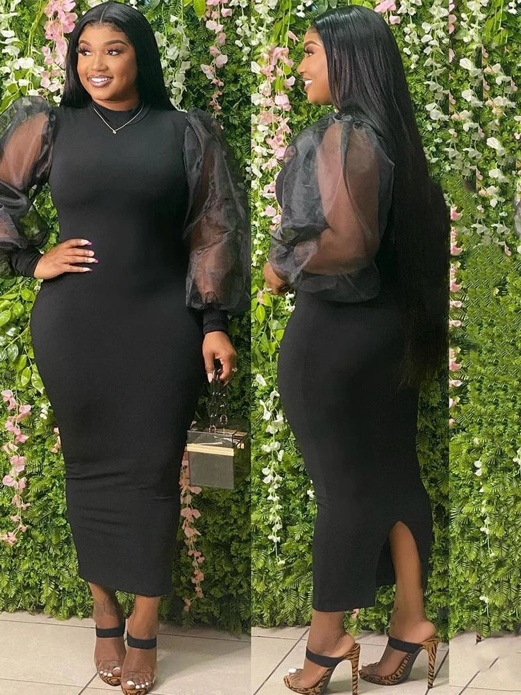 Newton Plus Size Solid Color Spring Mesh Lantern Long Sleeve Dress
