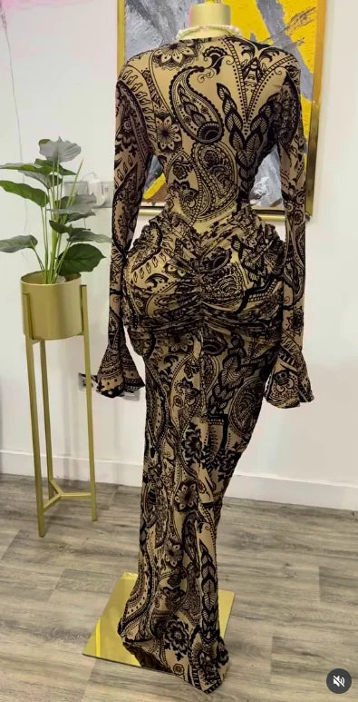 Peru Long Sleeve Stacked Mesh See Though with Lining Bodycon Long Dress