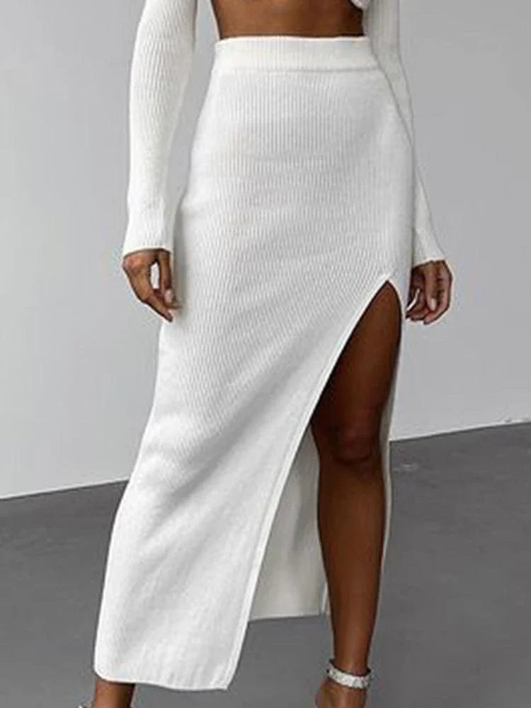 Elizabeth Winter High Turtleneck Irregular Two Piece Sets - Vestir en Moda