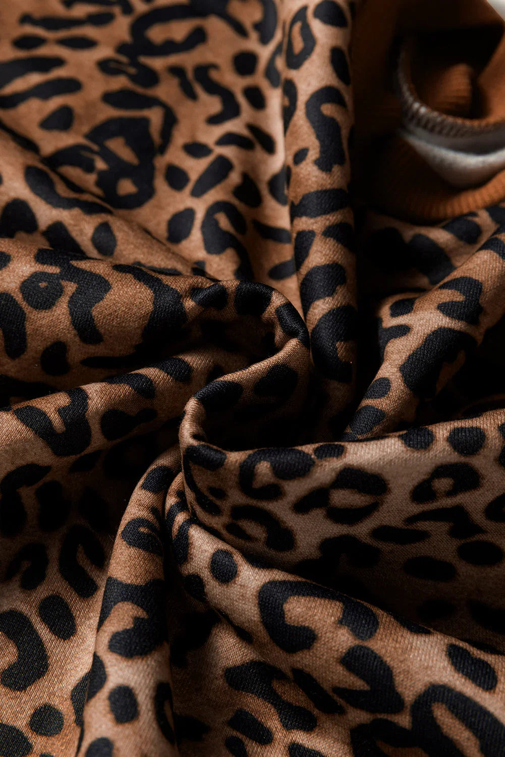 Amalia Leopard Contrast Trim Two Piece Sets