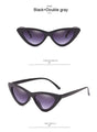 Fashion Cat Eye Woman Designer Vintage Retro Triangular SunGlasses - Vestir en Moda