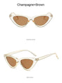 Fashion Cat Eye Woman Designer Vintage Retro Triangular SunGlasses - Vestir en Moda