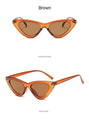 Fashion Cat Eye Woman Designer Vintage Retro Triangular SunGlasses - Vestir en Moda
