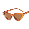 Fashion Cat Eye Woman Designer Vintage Retro Triangular SunGlasses - Vestir en Moda