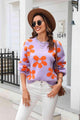 Iris Round Neck Dropped Shoulder Pullover Sweater