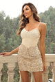 Dakota Sequin Spaghetti Strap Bodycon Elegant Dress - Vestir en Moda