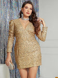 Paula Elegant Sexy Shiny Sequined Party Cocktail Mini Dress