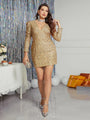 Paula Elegant Sexy Shiny Sequined Party Cocktail Mini Dress